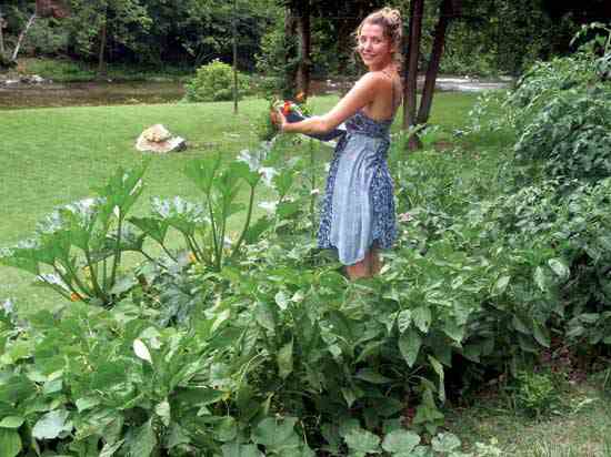 “My house is only 515 square feet, so the garden tends to take over,” writes reader Suzanna Garrett of Lexington, Va. “I don’t have much growing space, but I make the most of it.”